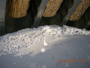 Piston Crown Deposits